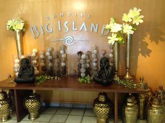 Big Island Candies at Hilo. all products are handmade. we bought original chocolate and Kona Coffee Icecream