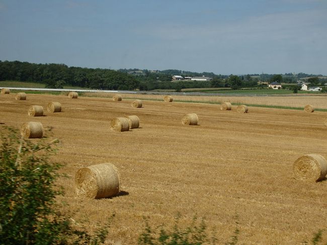途中長閑な車窓風景が広がっていました。