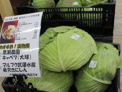 道の駅で目にする生産者明記の野菜コーナーもあって、すぐ持って帰られる距離だったら買ったなーと思うものもたくさんありました。
手前のキャベツは、特大サイズでした・・