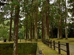 飫肥城 旧本丸跡(飫肥杉林)