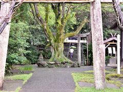 「男はつらいよ　寅次郎の青春」油津みなと祭り の祭礼ででてきました。マドンナは後藤久美子さん