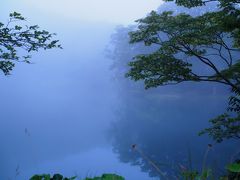 朝、早めに起きて周辺を散歩しつつドッコ沼へ。
朝霧が掛っていて幻想的な雰囲気。