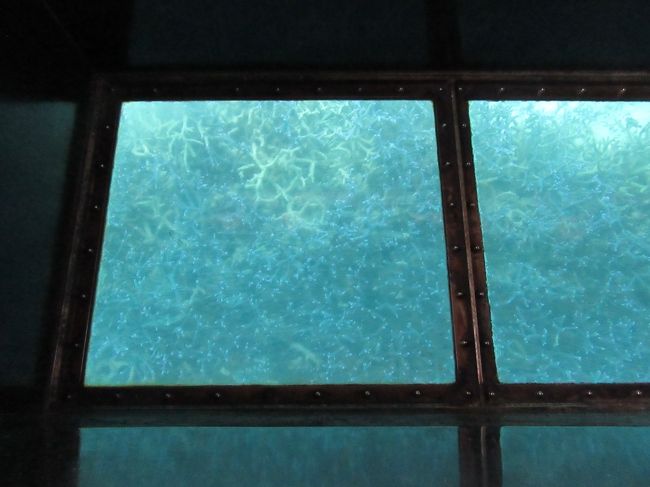 船底から見る珊瑚礁。