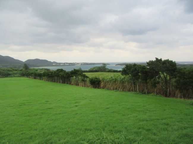 川平湾から石垣空港に向かうバスの車窓から。