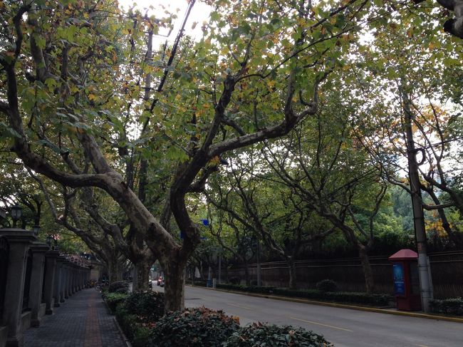 復興西路に向かいます。