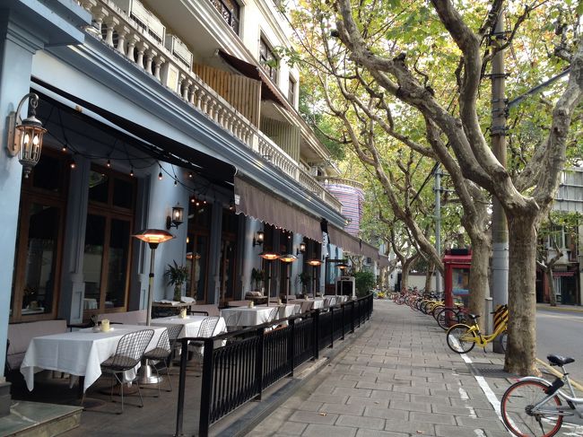 洋館レストラン「夏朶」とプラタナス並木。<br /><br />貸し自転車が景観を損ねています。