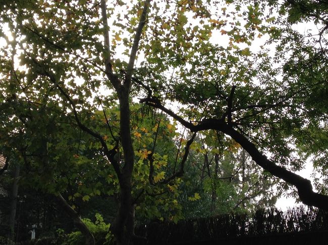 中国のひとがあちこちで撮影会を繰り広げているのですが、<br />上を見上げれば写り込みません。