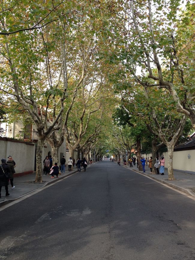 地面はこんな感じで、人が多めです。