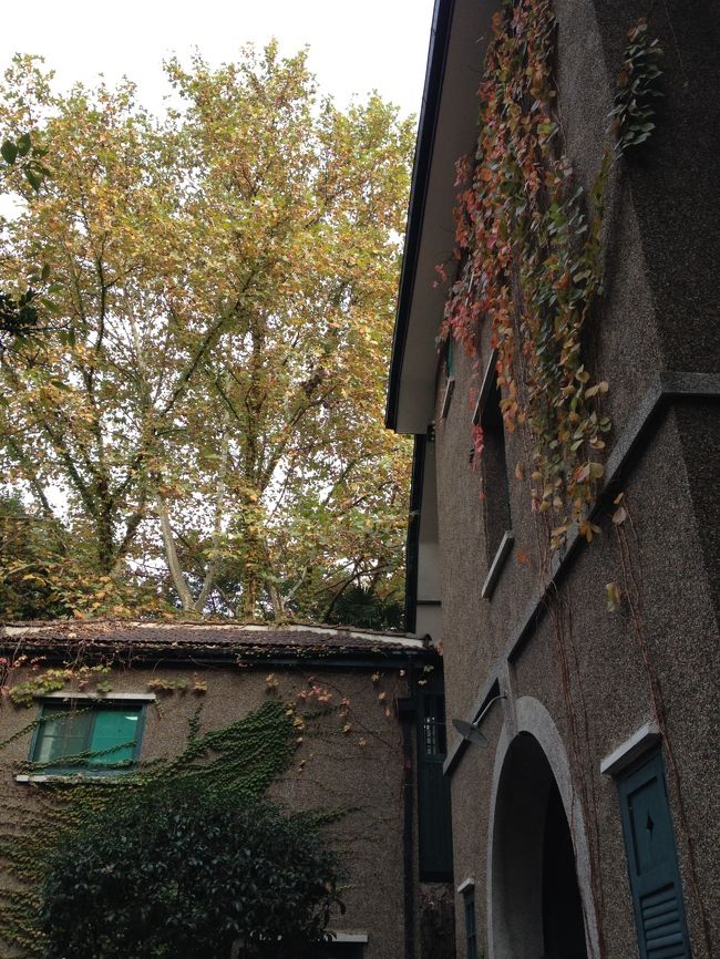 中は撮影禁止だったので、外観です。<br />ツタのからまる家。