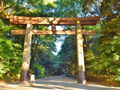 南参道口大鳥居（通称：一の鳥居）から始まる参道です。

この大鳥居から参道が、縁結び・良縁のパワースポットになっています。
参道を本殿まで歩きながら、良縁を祈ると効果があるとか…
