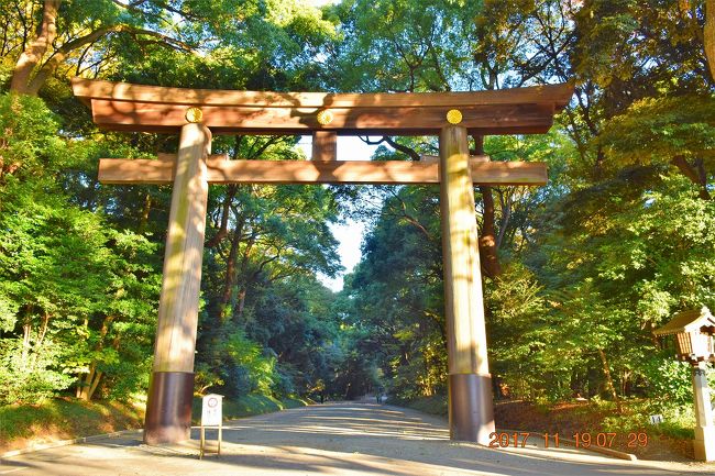 東京散策70 癒し と 浄化 のパワースポット明治神宮でパワー充電ヽ O 丿 代々木 東京 の旅行記 ブログ By Jh2fxvさん フォートラベル