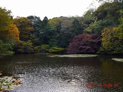 御釣台（たぶん釣りを楽しんだことからだろうかと…）から見た南池。

池には睡蓮の花が咲きます