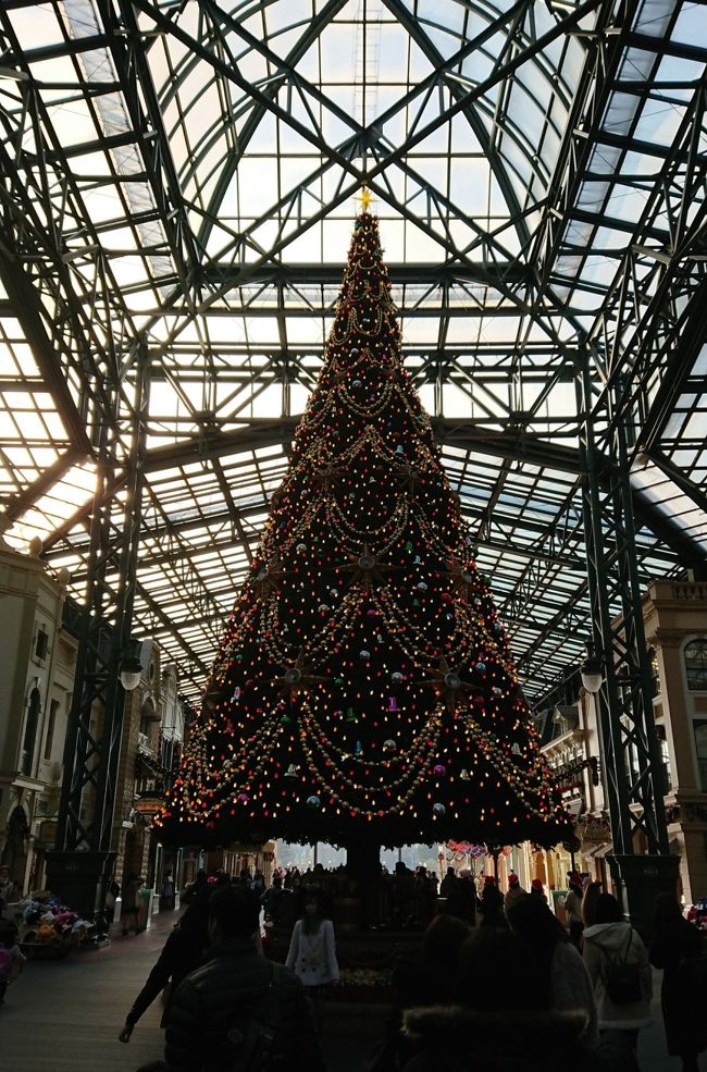 2017年12月 東京ディズニーランド♪クリスマスのランドを楽しむ