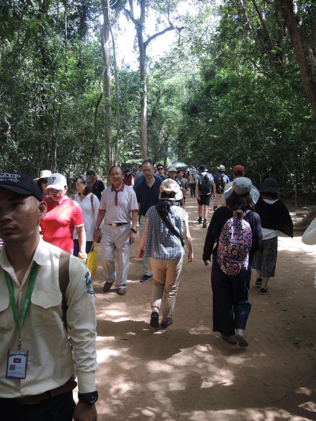 ゾロゾロと大勢の観光客で賑わうのは、「タ・プローム」への参道。<br />例によって、中国人観光客が目立ちます。（シェムリアップの街並みも、漢字表記の看板であふれています）<br /><br />中央の日本人女性二人（後ろ姿）が、今回ツアーの私以外の参加者です。（それぞれ、別々の一人旅のようです）<br /><br />シェムリアップというか、カンボジアの遺跡の人気投票をすれば、もちろんアンコールワットが1番でしょうが、次がアンコール・トム（バイヨン）でしょうか。<br /><br />その次にくるのが、このタ・プロームではないでしょうか？<br /><br />その三大人気遺跡を回るという現地ツアーです。<br /><br />