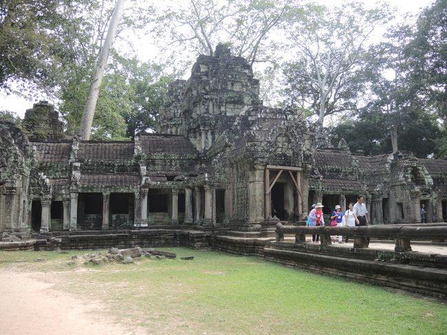＊＊＊＊＊＊＊＊＊＊＊＊＊＊＊<br />タ・プロームは、カンボジアにある、アンコール遺跡群と呼ばれる多くの寺院や宮殿などの遺跡群の内のひとつで、12世紀末に仏教寺院として建立され、後にヒンドゥー教寺院に改修されたと考えられている遺跡。<br /><br />創建したのは、クメール人の王朝、アンコール朝の王ジャヤーヴァルマン7世。【ウィキペディア】<br />＊＊＊＊＊＊＊＊＊＊＊＊＊＊＊＊＊<br /><br />ジャヤヴァルマン7世がお母さんのためにつくったそうです。