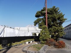 左富士の松　松の右が旧東海道です
今は手前の建物が目障りですね
