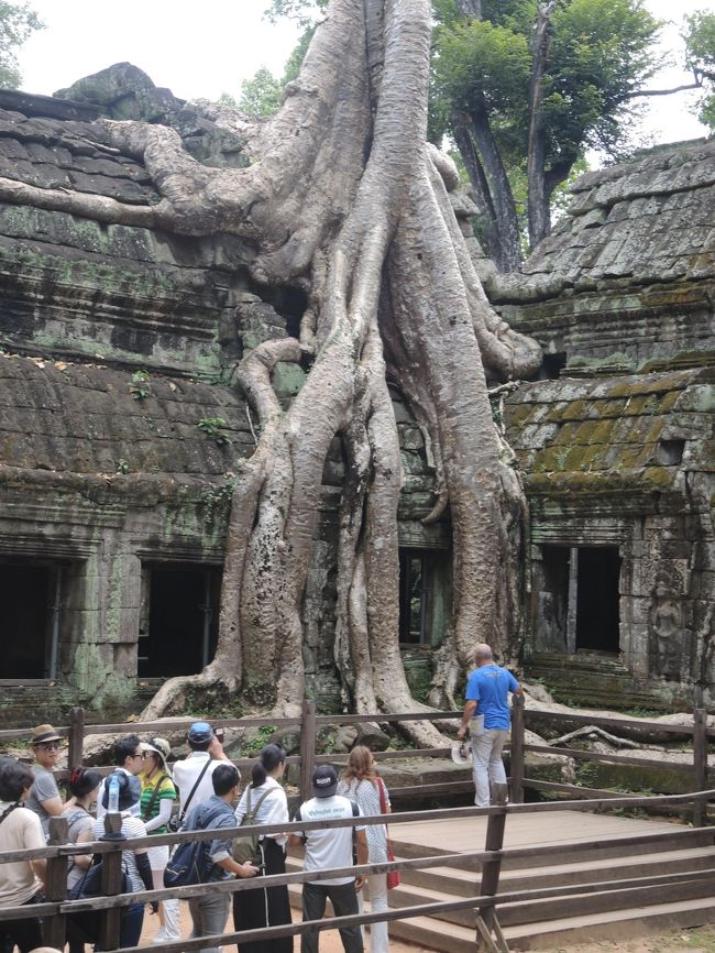 人気の撮影ポイントには人だかりが。順番待ちしています。