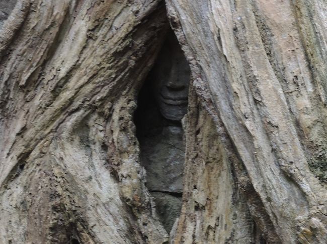 これなら見えるでしょうか？