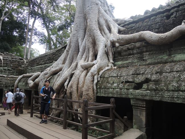 エイリアンのようで不気味でもあります。