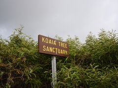 写真は道路脇にあったKOAIA TREE SANCTUARYという看板。
ここからトレイル（小道）が続いています。