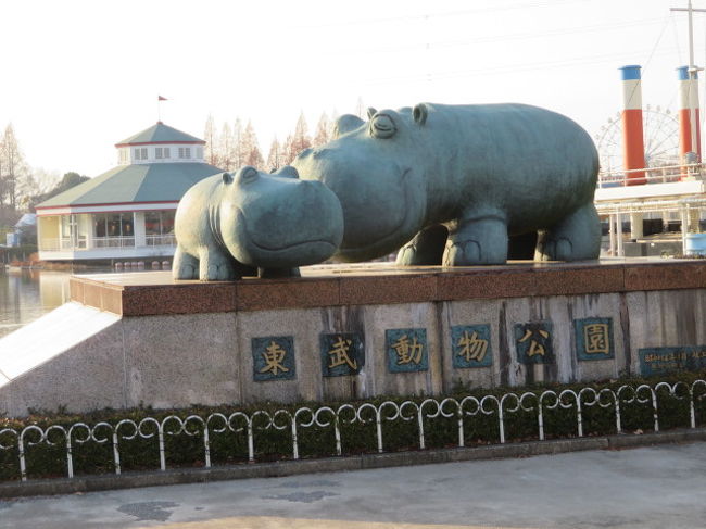東武動物公園で動物とイルミネーションを見てきました 蓮田 白岡 埼玉県 の旅行記 ブログ By タビガラスさん フォートラベル 東武動物公園で動物とイルミネーションを見てきました 蓮田 白岡 埼玉県 の旅行記 ブログ By タビガラスさん フォートラベル