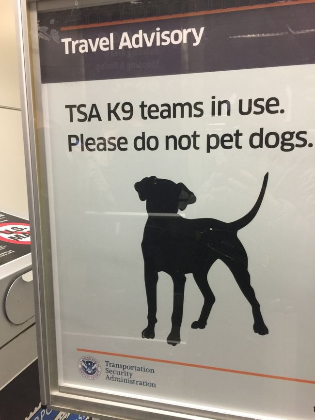 TSA Preでも相当に長い列であったエアポートが一番混む日、、普通に並んでる人は、フードコートの前より更に長い列だったの、、間に合わない人が出てくるんじゃないかと思うた笑<br /><br />