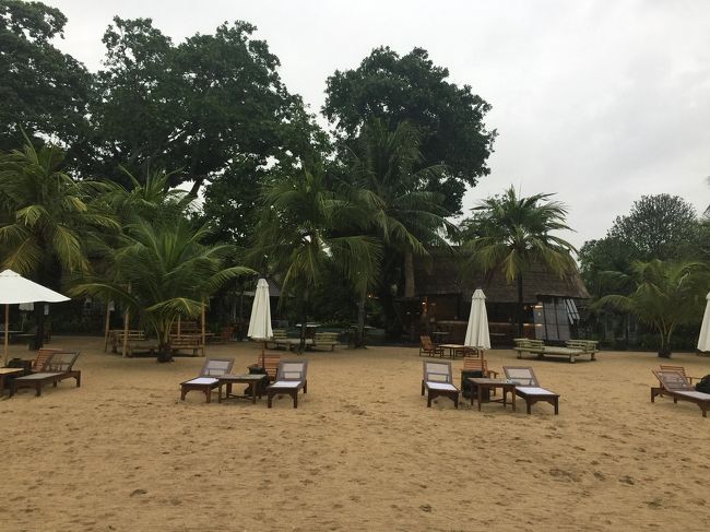 曇り空も　カリフォルニアから来た身には嬉しい♪