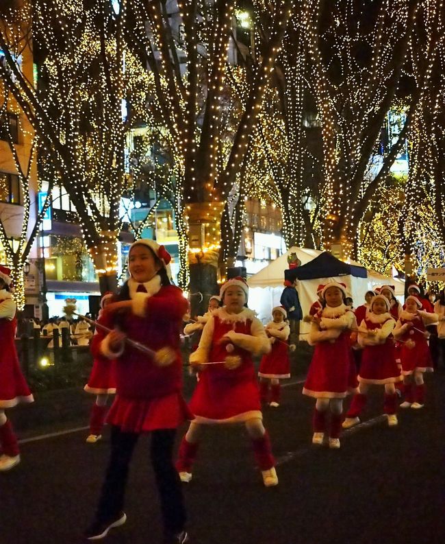 光と音楽とサンタでいっぱい！クリスマスのパレード☆サンタの森