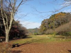 広徳寺近くの小峰公園へ行ってみた