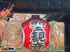 湖東三山-1　紅葉時季・彦根発シャトルバス　/40　　　　15

金剛輪寺