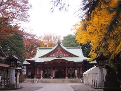 境内のイチョウが黄葉していました