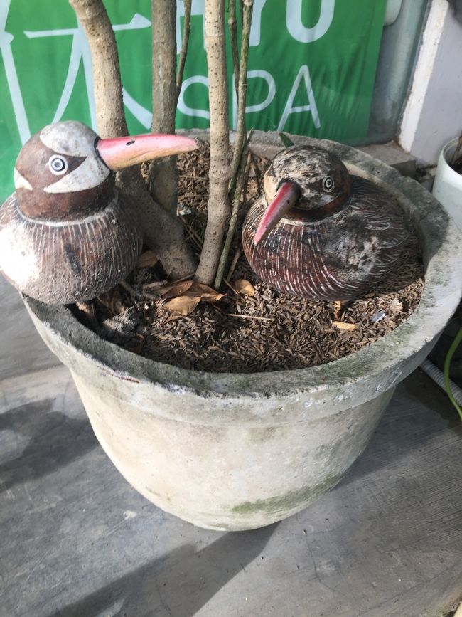 これな、買っておけばよかったかもね♪