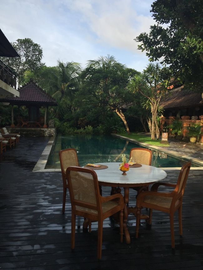 日が出てきた　プールサイド♪