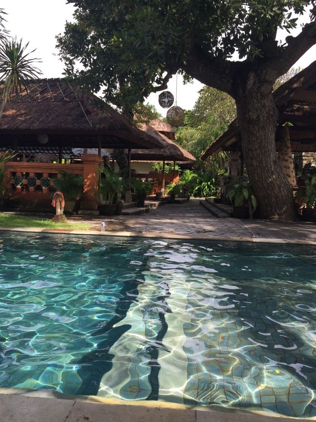 泳ぎやすいプール♪<br />他のホテルのプールと違って狭い敷地のレストランのそばにあるのですが　心地よいのでする（贔屓の引き倒しかｗ）