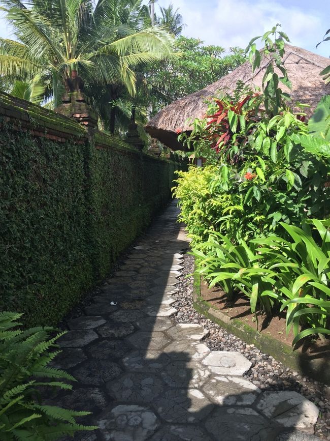 ここは　どこへ行くのかしら、、？　ジャラン・ダナウ・タンブリンガンの通りから　海までの細長い敷地なのです♪