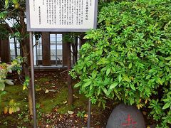 右下にあるのは東京民族文化財の芝大神宮の力石。

この力石って言うのも都内のあちこちの寺社で見かけます。