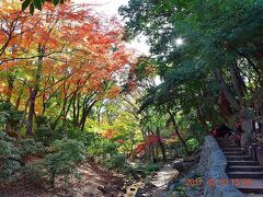 東京タワー直下の人工渓谷もみじ谷（https://www.tokyo-park.or.jp/park/format/view001.html）にもパワースポットが点在しています。