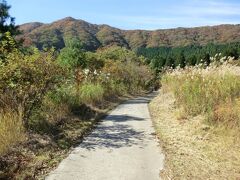 仙石原サイクリングロード&散策路を歩きます。