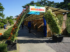 ●玉藻公園＠JR高松駅界隈

菊花展をしていました。
そんな季節なのですね。
