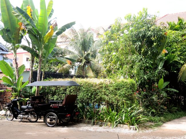 ゲストハウスの向かい側<br /><br />12月5日　シェムリアップ二日目のこの日は、特に予定もない休養日　どこへ行きましょうか･･･。