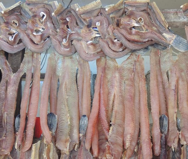 この魚の開き方は独特です。まるでエイリアンのように不気味な感じも。<br /><br />15年前、初めて見たときは「何だろう？」と見とれてしまいました。<br /><br />