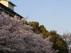 今年もついにやってまいりました。。
ということで、母娘長島イルミネーション、3回目の旅。
数年前からゴールデンウィーク頃まで期間が延長されたということもあって、今年は桜の季節に行ってみました。

お天気も良くテンションが上がります！
三井アウトレットパーク　長島に行き、いざホテルへ。
https://mitsui-shopping-park.com/mop/nagashima/

泊まったホテルはホテルナガシマ
今年で3回目になります。

http://www.nagashimaresort.jp/hotelnagashima/



