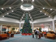 オーランド国際空港に到着！(２１時過ぎ)
クリスマスツリーがお出迎えです☆

途中、サンフランシスコ空港での乗り継ぎ時間は２時間でしたが、入国審査→荷物ピックアップ→税関検査→再度荷物預けるのですが、とても空いていて３０分くらいだったと思います。(入国審査で友達が質問攻めされましたが。笑)
定刻通り、オーランド国際空港に到着。ターンテーブルでＪＴＢのスタッフさんと合流し、ホテルまで送っていただきました。現地の方でしたが、日本語でパークやホテルの説明をして下さりました♪
