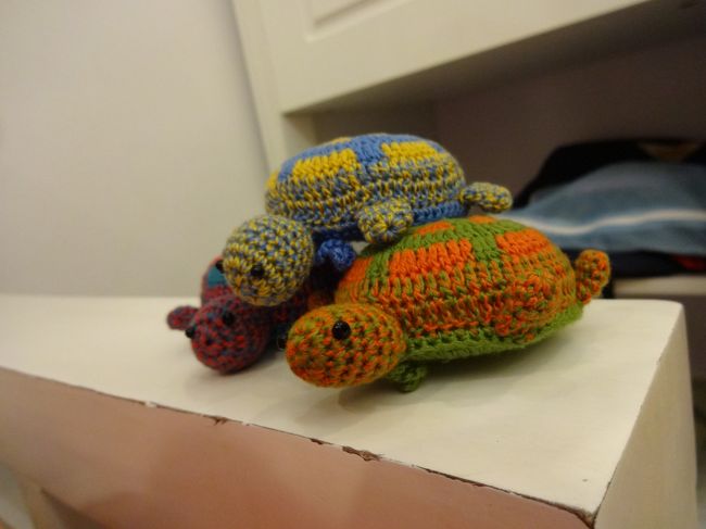 ナイトマーケットで買った亀。<br />かわいい。しっぽをひっぱるとメジャーになります。