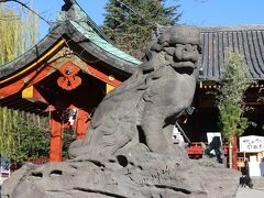 浅草神社の狛犬。