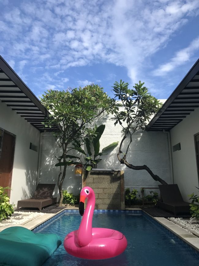 雨があがってとっても良い天気になったのでプールに入ります！とにかく貸切なので気兼ねなく遊びまーす。