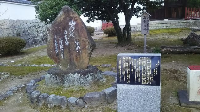 自転車を駐輪場から押し出した