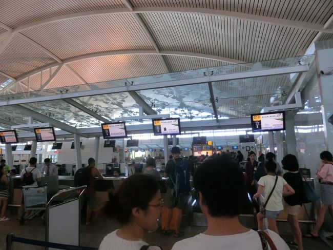 チェックインカウンターの手前にセキュリティチェックがあり、お見送りの方はその手前までしか入れません。このエリアに入ることができるのは搭乗する方のみです。<br />余談ですが、今後、日本の一部の空港の国内線では、搭乗しない方もゲートまで行ける様になるとの情報もあります。本当に実現するかどうかは疑問ですが。