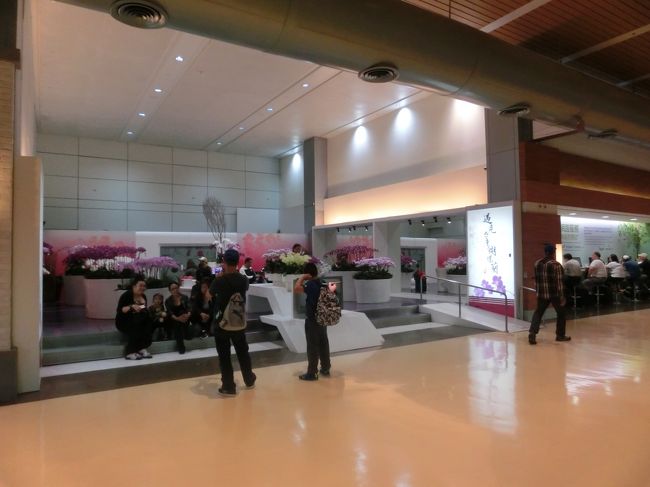 蘭が綺麗に飾ってありました。