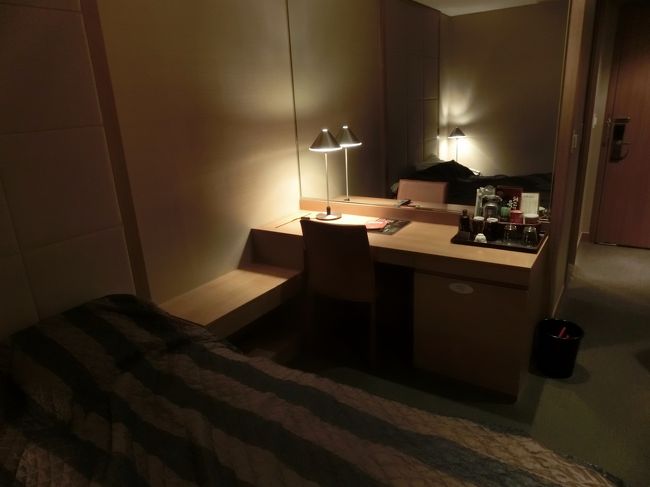 部屋はビジネスホテル並みで窓はありません。